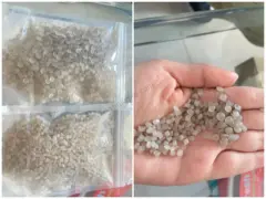 plastc pellets