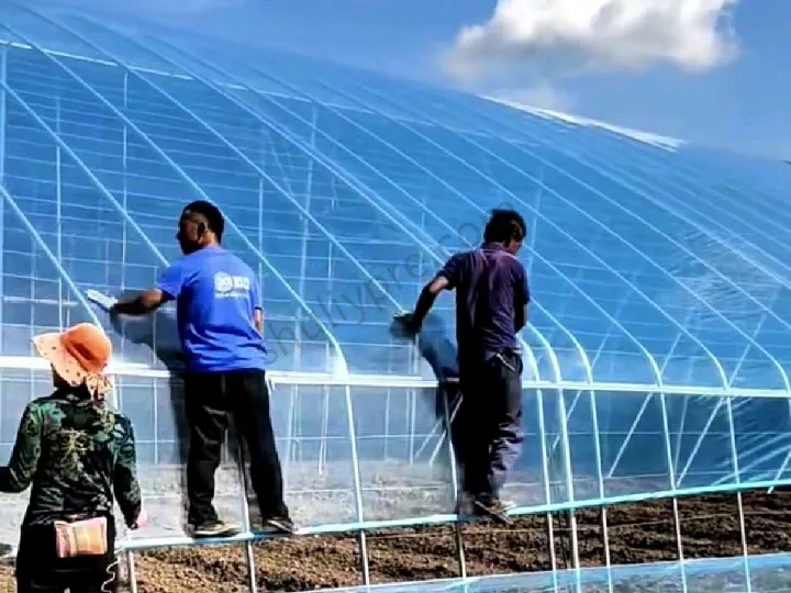 green-house film